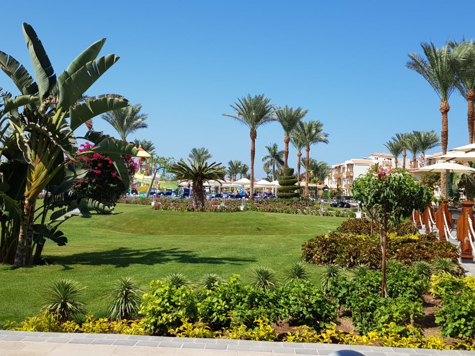 Gartenanlage Pickalbatros Dana Beach Resort - Hurghada