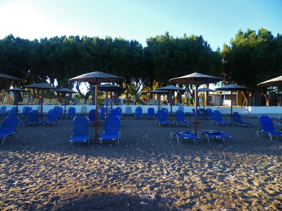 Am Morgen  TUI KIDS CLUB Alex Beach