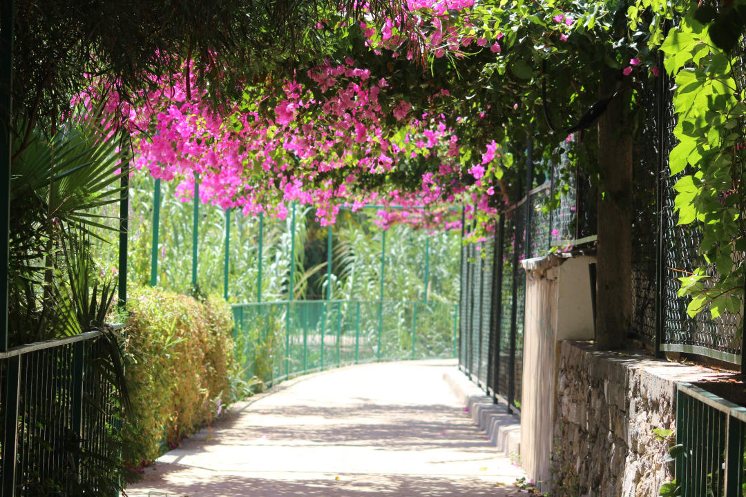 Weg zum Strand  My Home Resort