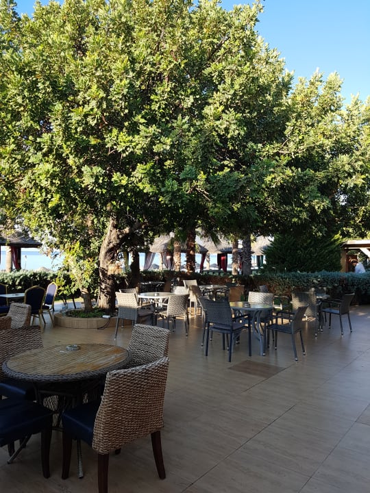 Gastro Latanya Park Resort