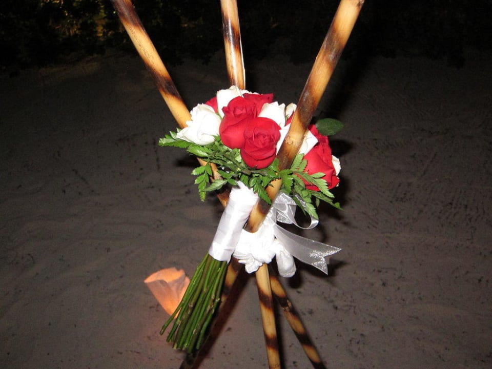 Die Blumen zum Essen TRS Yucatan Hotel - Adults only