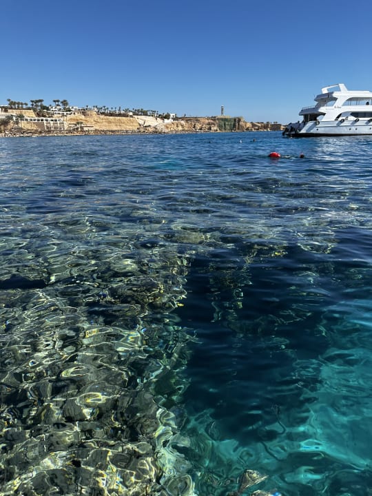 Strand Pickalbatros Aqua Park Resort - Sharm El Sheikh