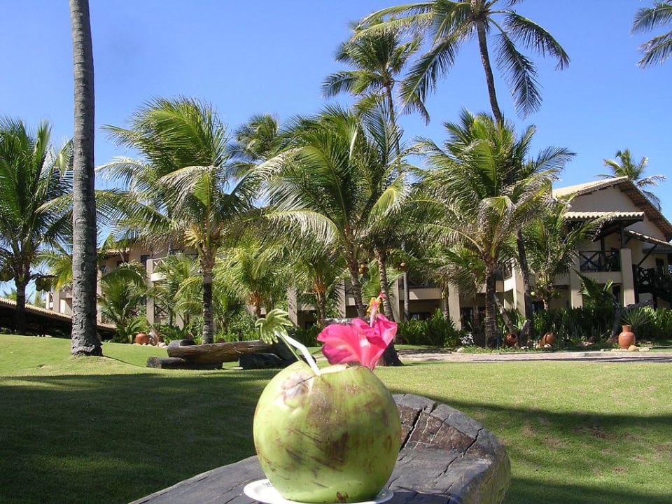 Gartenpanorama Hotel Catussaba Resort