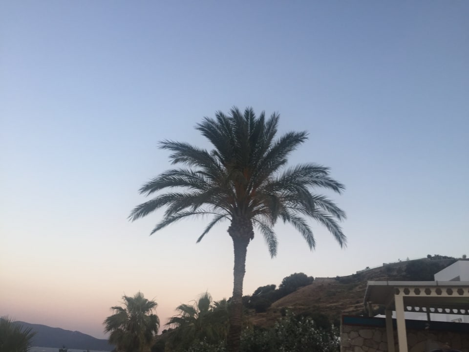 Gartenanlage Salmakis Resort & Spa