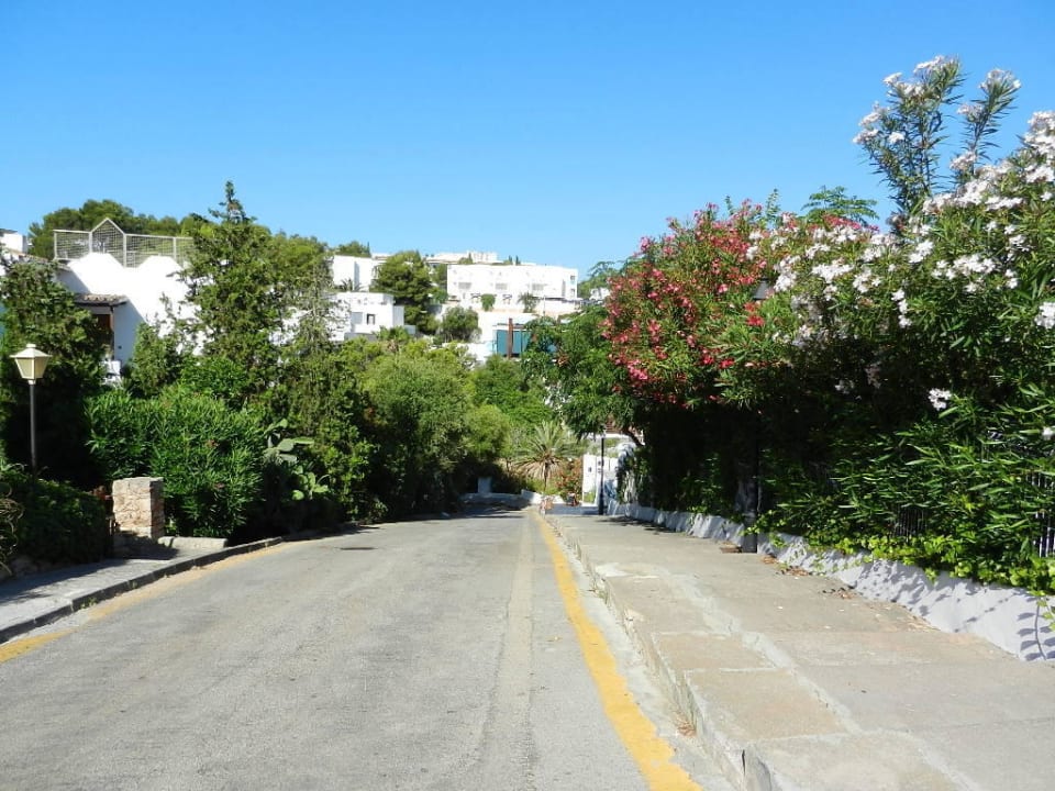 Weg zum Restaurant MarSenses Natura Olea Hotel
