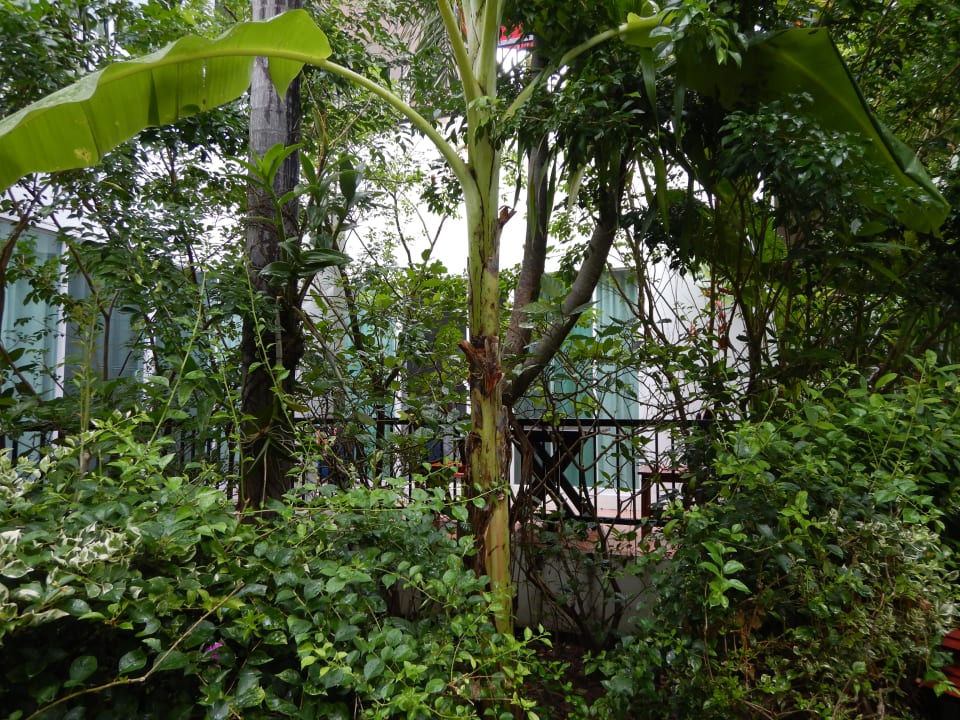 Gartenanlage Laksasubha Hua Hin