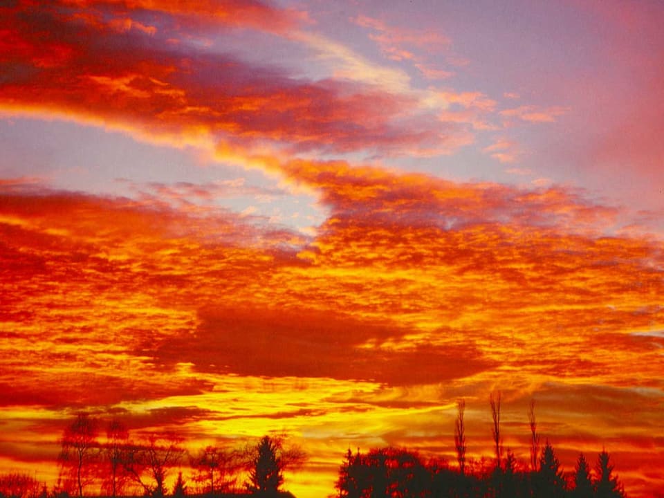 Außenansicht Ferienwohnung Patz