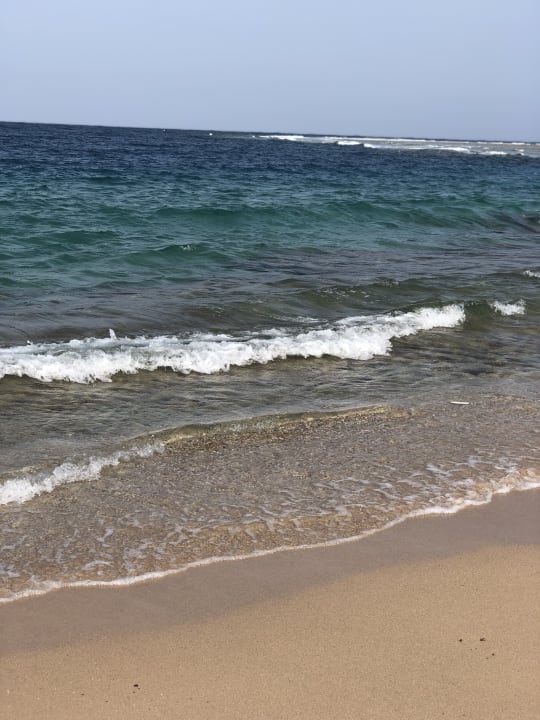 Strand Coral Sun Beach