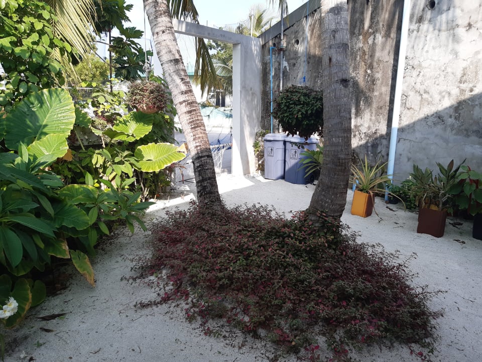 Sonstiges Maldives Diving Loabi