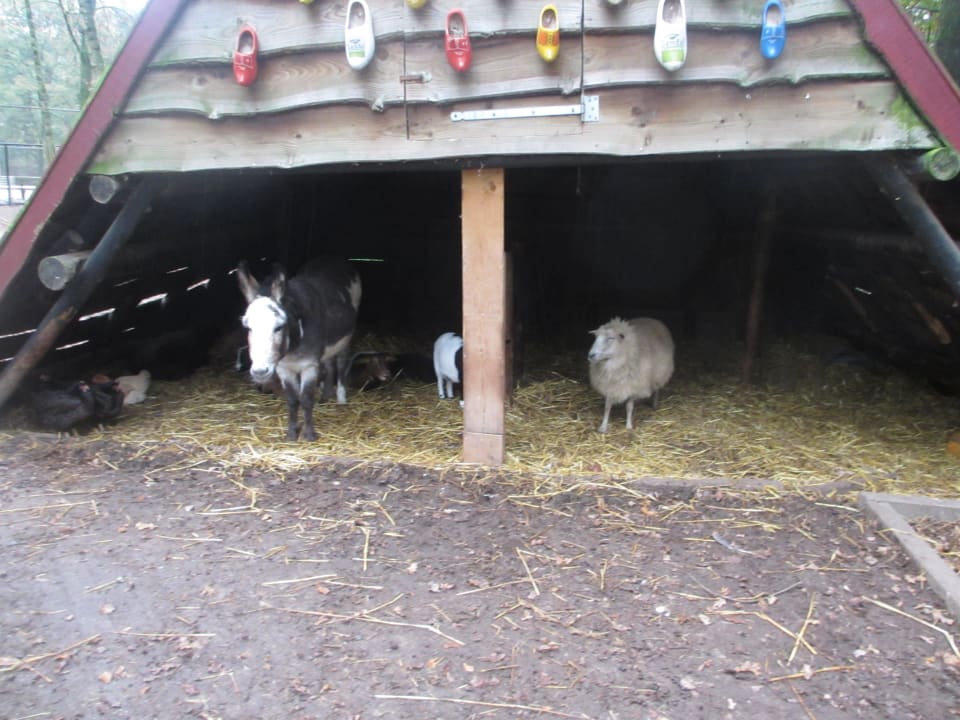 Kidnerbauernhof Ferienpark Landal De Lommerbergen