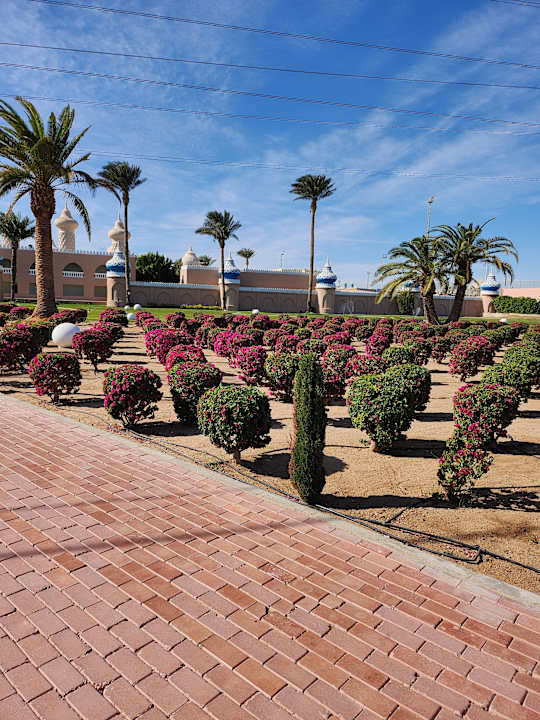 Ausblick Pickalbatros Alf Leila Wa Leila Resort - Neverland Hurghada