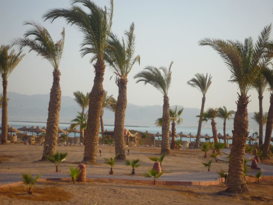 Strand ROBINSON SOMA BAY