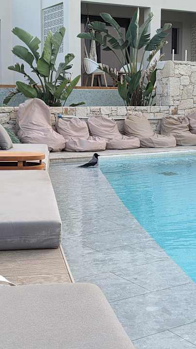 Pool Enorme Teatro Beach Resort