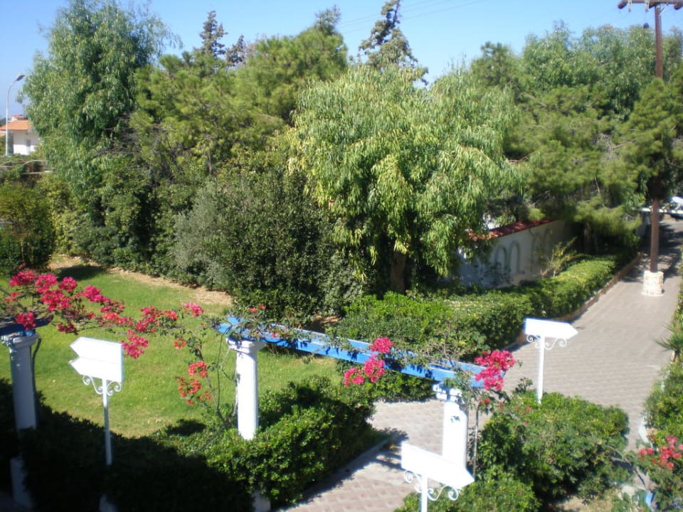 Zieleń w hotelu Hotel Filerimos Village