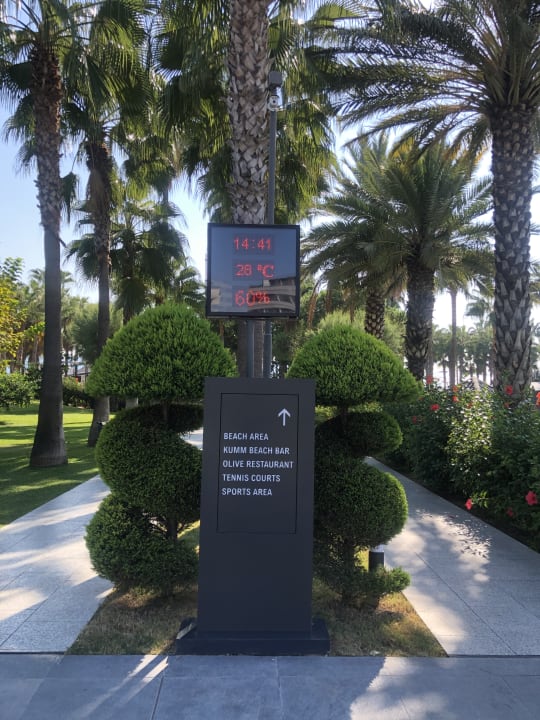 Gartenanlage Hotel Miramare Beach