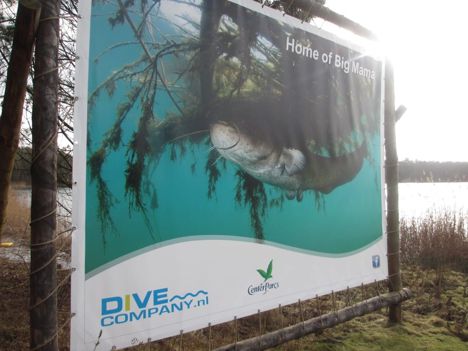 Big Mama Center Parcs De Kempervennen