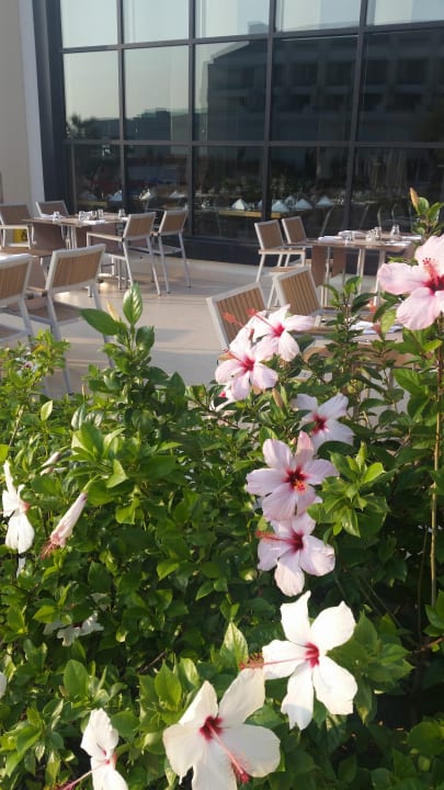 Gartenanlage Korumar Ephesus Beach & Spa Resort