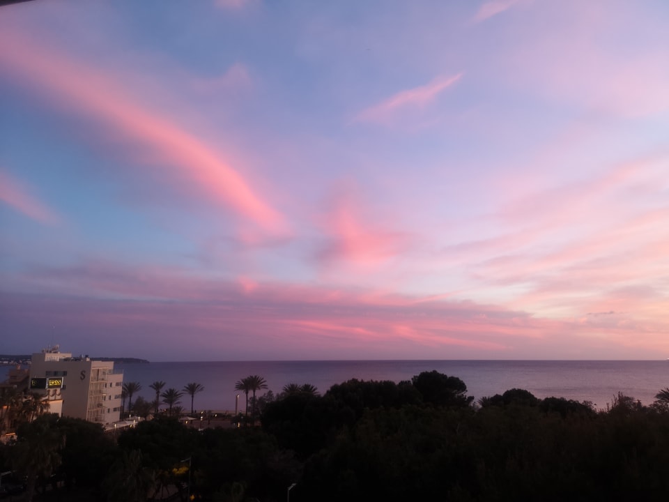 Zimmer Aparthotel Houm Plaza Son Rigo