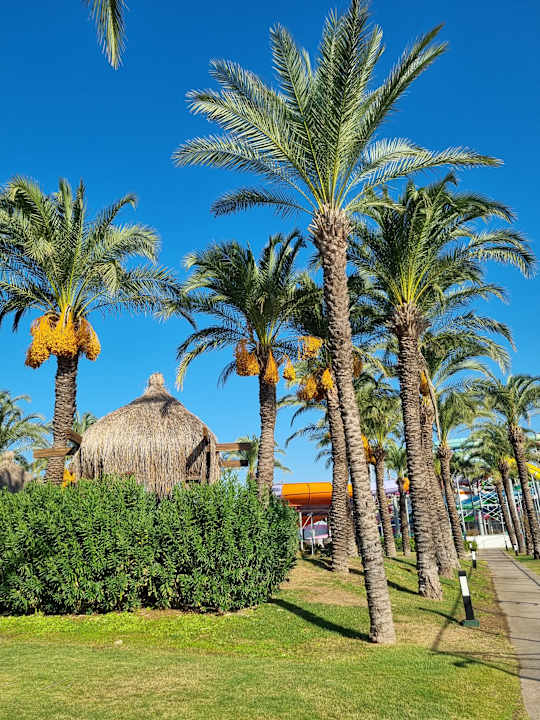 Gartenanlage IC Hotels Green Palace & Villas