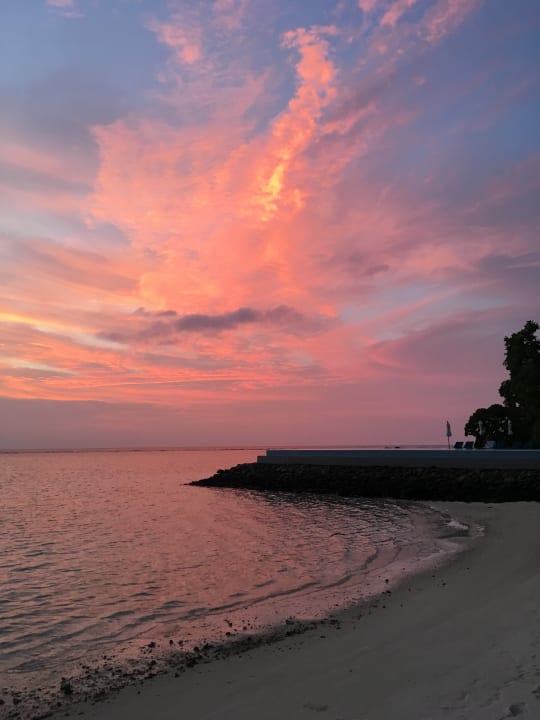 Pool Summer Island Maldives