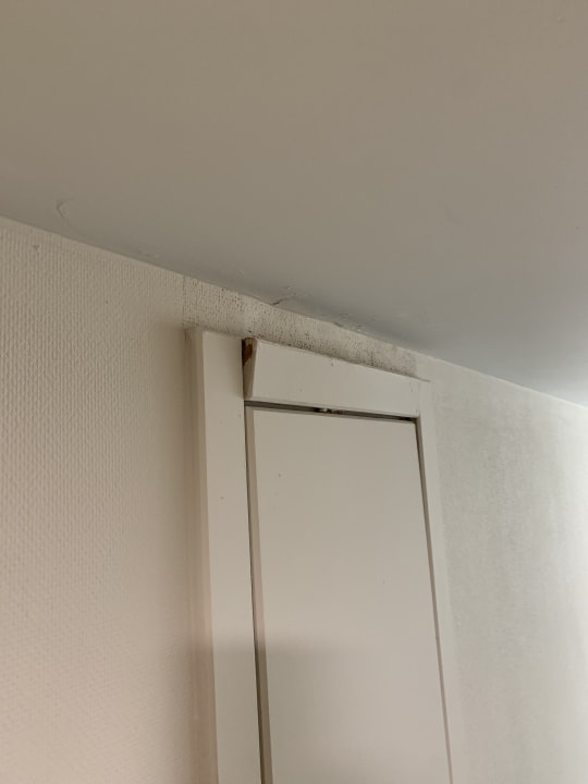 Sonstiges PALOMA Perissia