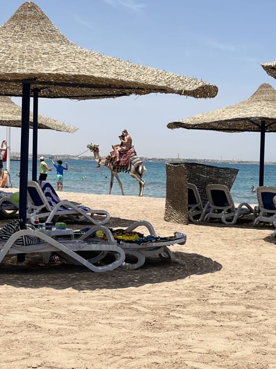 Strand Blend Club Aqua Resort