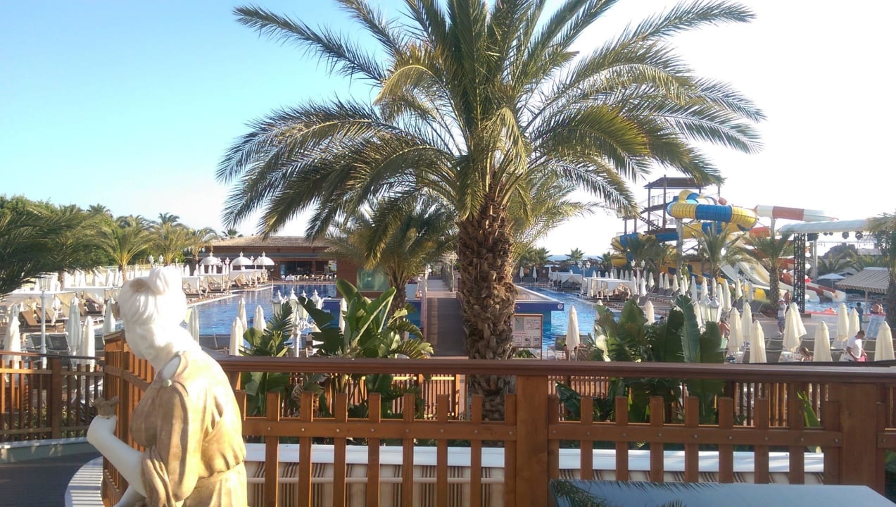 Poolanlage vom Loungebereich aus Quattro Beach Spa & Resort