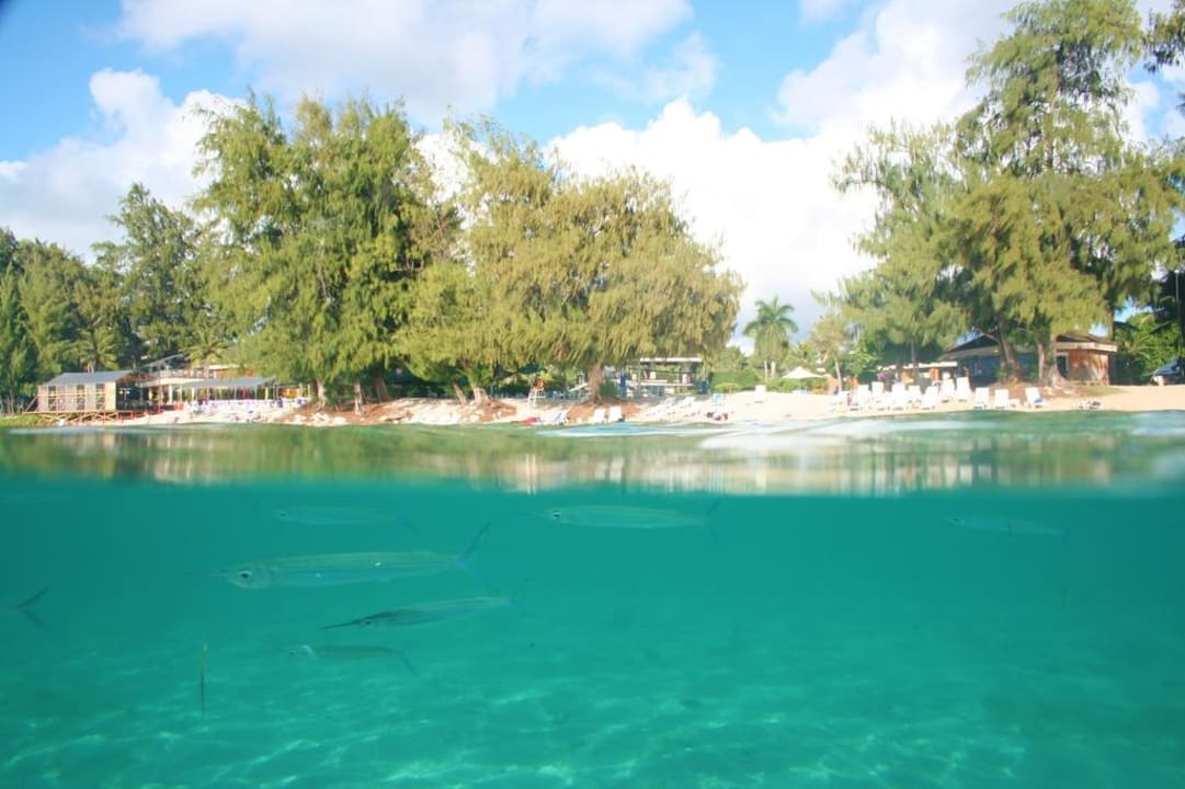 PIC views Hotel Pacific Islands Club