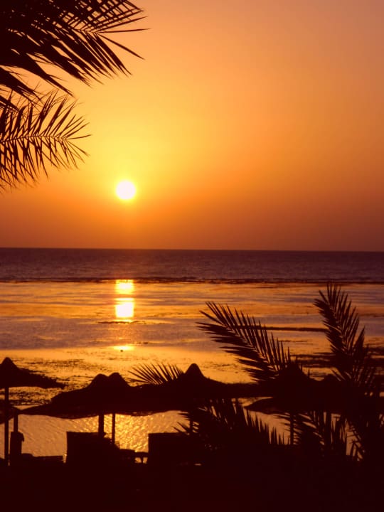 Blue Reef Red Sea Resort Blue Reef Red Sea Resort