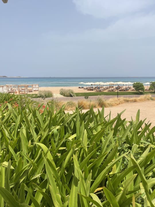 Strand Baron Palace Sahl Hasheesh