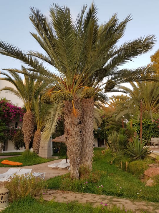 Garten Hotel Djerba Resort