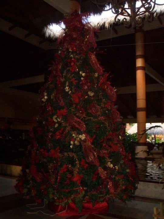 Künstlicher Tannenbaum (aber schön) Grand Palladium Select Bávaro Resort & Spa