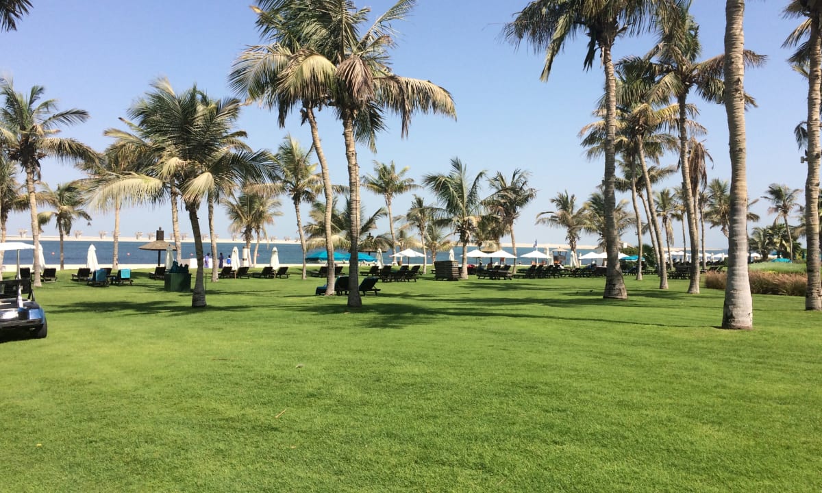 Gartenanlage JA Palm Tree Court