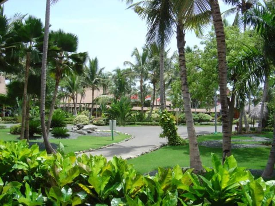 Anlage Grand Palladium Select Bávaro Resort & Spa