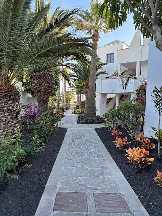 Außenansicht allsun App.-Hotel Albatros