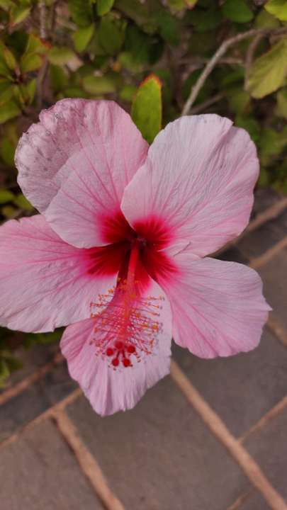 Außenansicht R2 Maryvent Beach