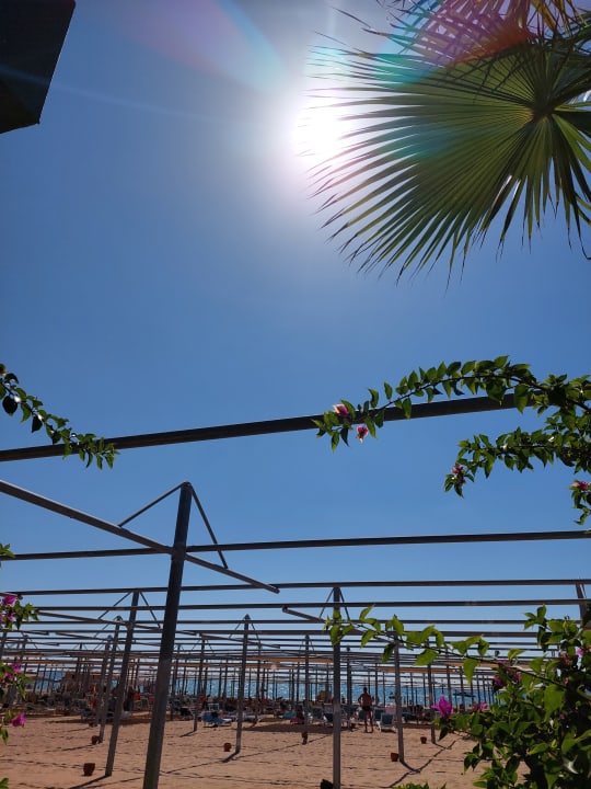 Strand Dream World Palace Hotel