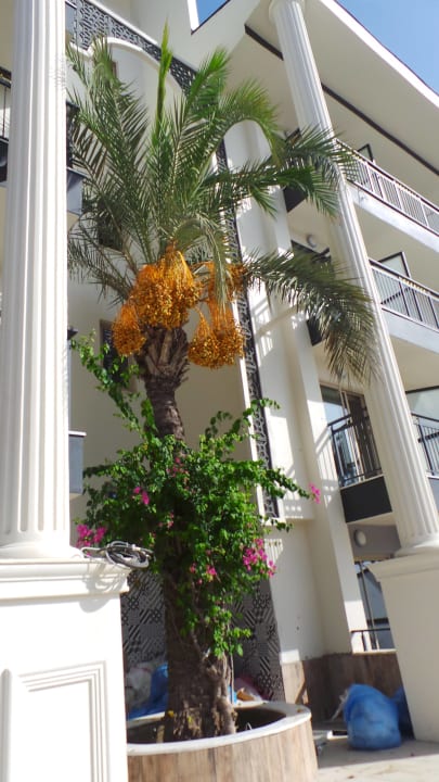 Sonstiges Dream World Palace Hotel