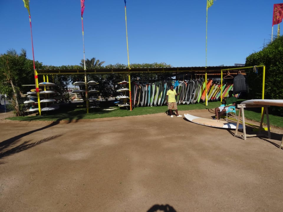 Surf Station Desert Rose