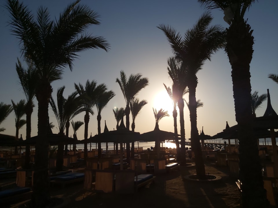 Strand Pickalbatros Palace Resort