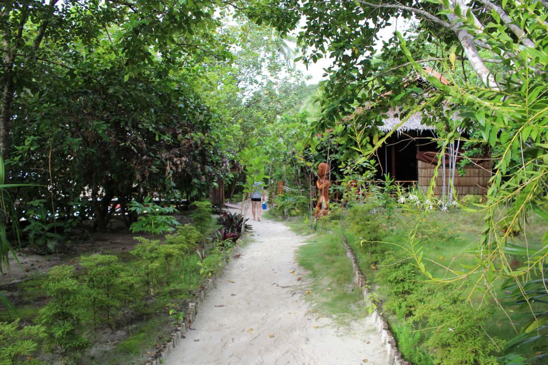 Weg zum Restaurant/Hauptsteg Papua Explorers Resort