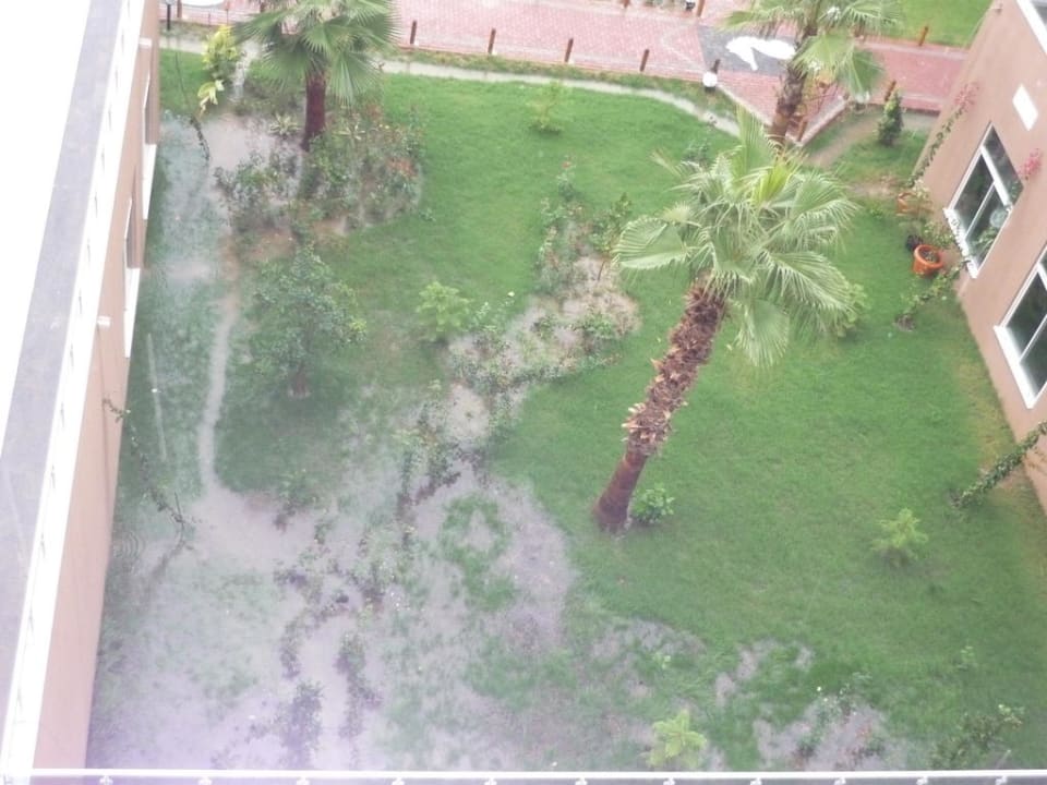 Gartenpool Seaden Sea World Resort & Spa