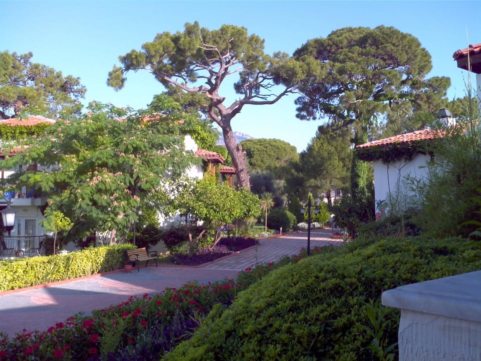 Улочки  Club Marco Polo