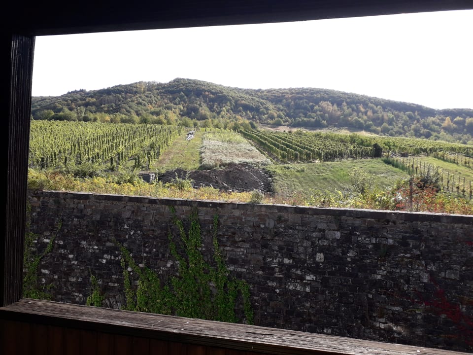 Zimmer Moselstern Hotel Zum guten Onkel