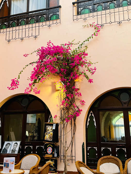 Lobby Arabella Azur Resort