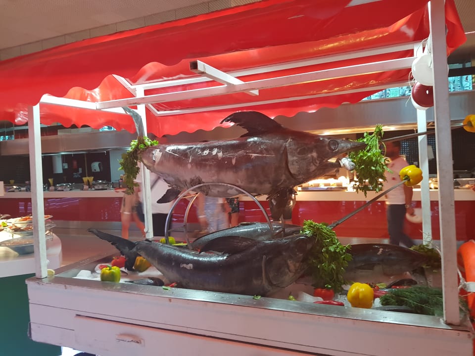 Gastro Adam & Eve - Adults only