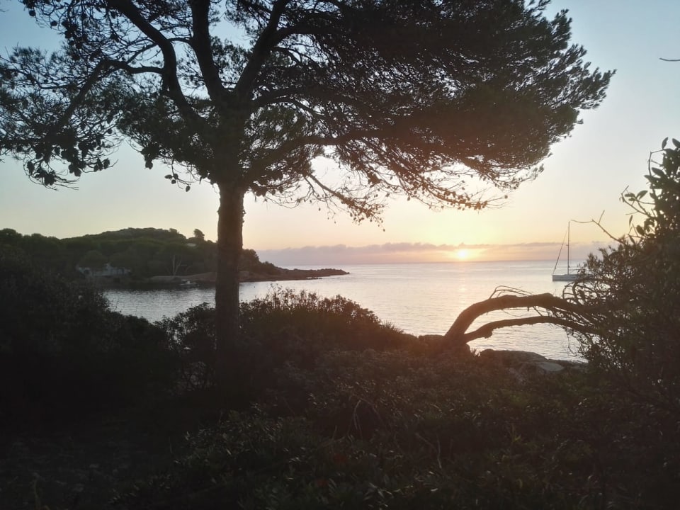 Ausblick Iberostar Waves Pinos Park