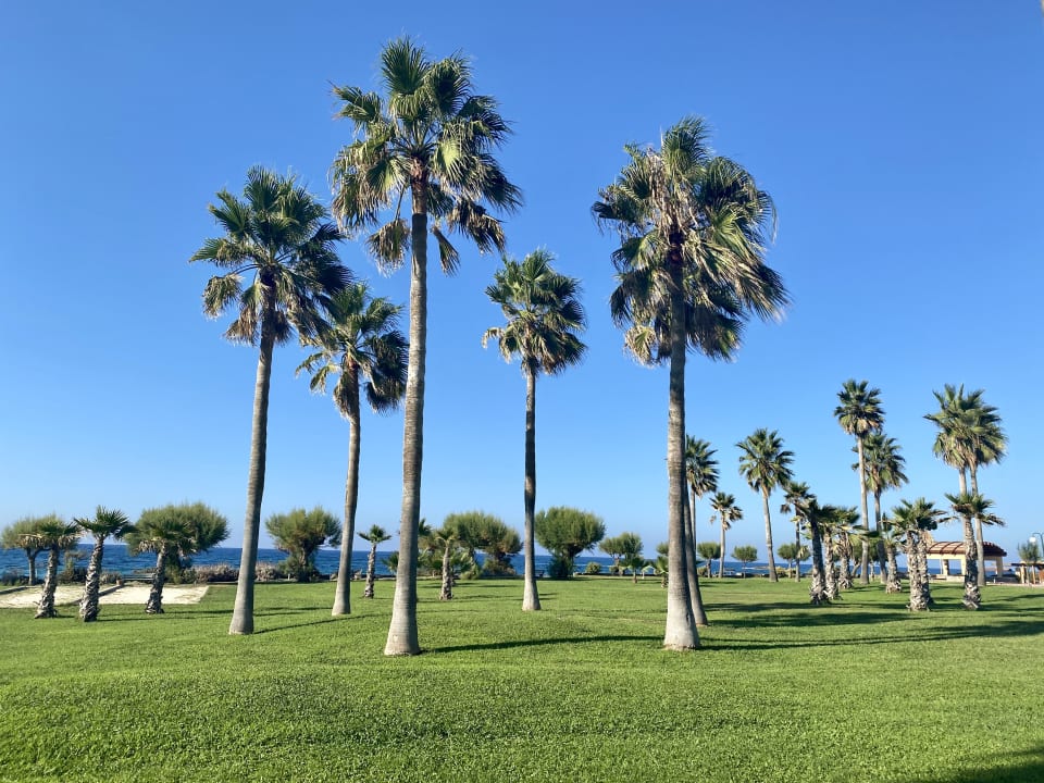 Gartenanlage Calimera Sirens Beach