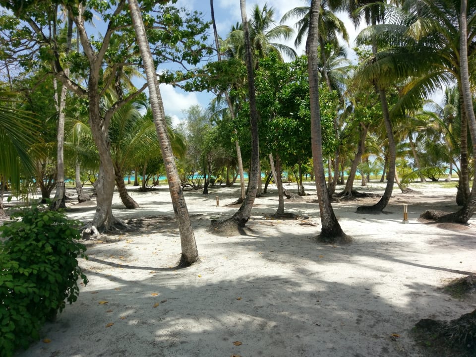Strand Meeru Maldives Resort Island