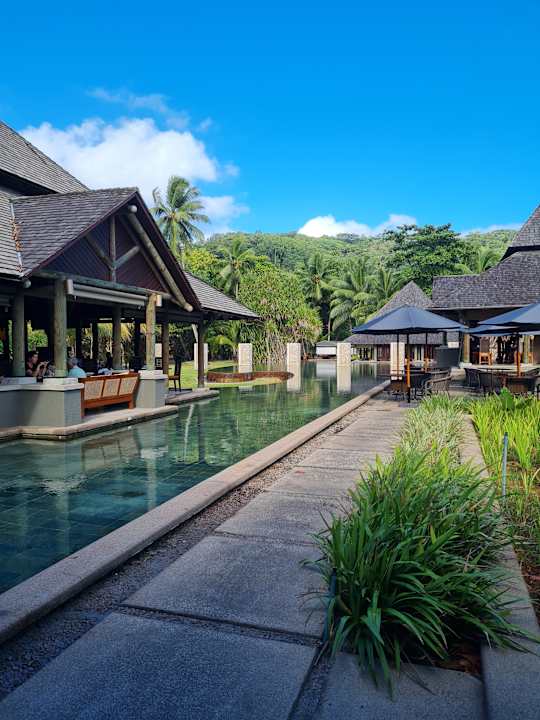 Gartenanlage Constance Ephelia